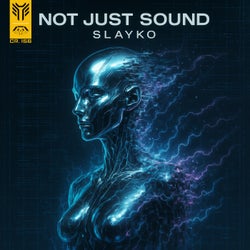 Not Just Sound