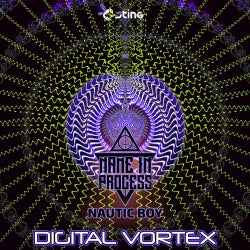 Digital Vortex