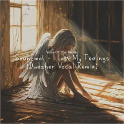 I Lost My Feelings (Duezher Vocal Remix)