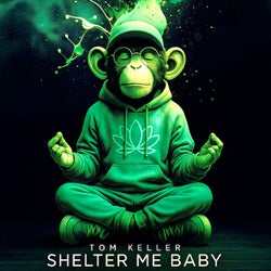Shelter Me Baby EP