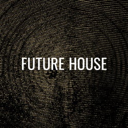 Crate Diggers - Future House