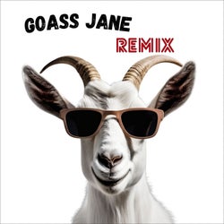 Goass Jane (Remix)