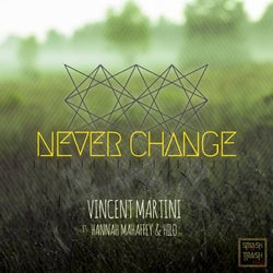 Never Change (feat. Hannah Mahaffey, Hilo)
