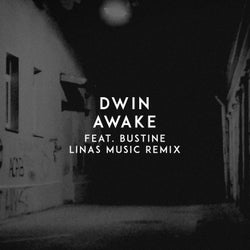 Awake (Linas Music Remix)