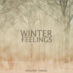 Winter Feelings, Vol. 3 (Finest In Calm & Heartwarming Chill Out Tunes)