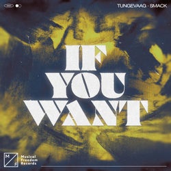 If You Want (Extended Mix)