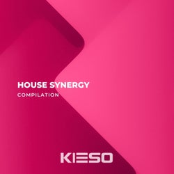 House Synergy