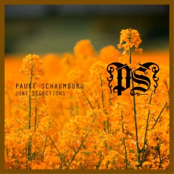 PAUKE SCHAUMBURG - JUNE SELECTIONS