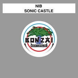 Sonic Castle