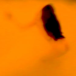 Pulsion (Rework)
