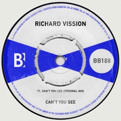 Can't You See