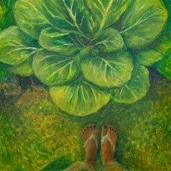 At We Feet