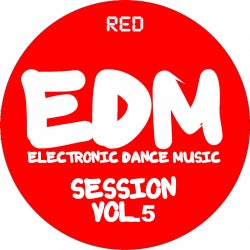 EDM (ELECTRONIC DANCE MUSIC) RECORDS PART.2