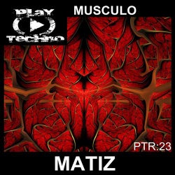 Musculo