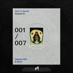 Vorm in Geluid, Vol. 1