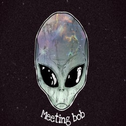 Meeting Bob