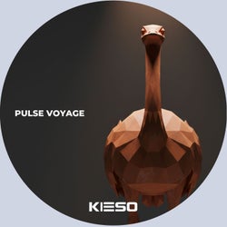 Pulse Voyage