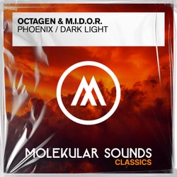 Phoenix / Dark Light