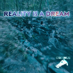 Reality is a Dream