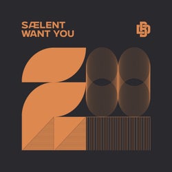 want you (Extended Mix)