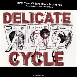 Delicate Cycle (3 Years of Save Room Recordings)