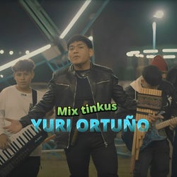 Mix Tinkus: Salvar Nuetro Nido / Yo La Quiero Tanto