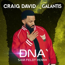 DNA (Sam Feldt Extended Remix)