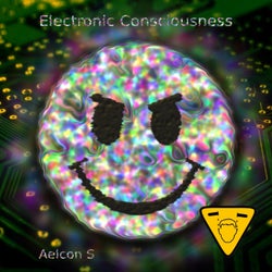 Electronic Consiousness