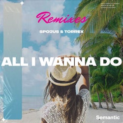 All I Wanna Do (Remixes)
