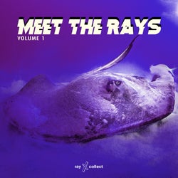 Meet The Rays EP, Vol.1