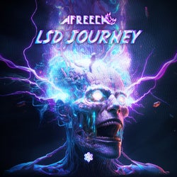 LSD Journey