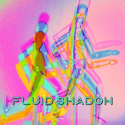Fluid Shadow