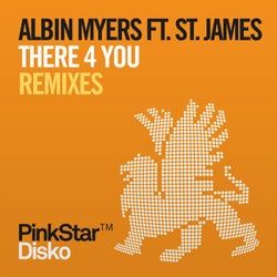 There 4 You (Remixes)