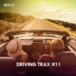 Driving Trax, Vol. 11