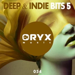 Deep & Indie Bits 5