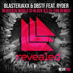 Beautiful World - D-Block & S-te-Fan Remix