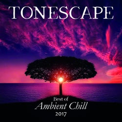 Best Of Ambient Chill 2017