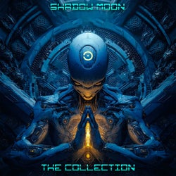 The Collection