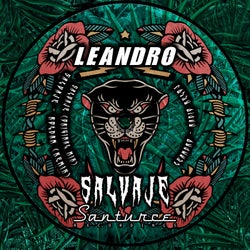 Salvaje