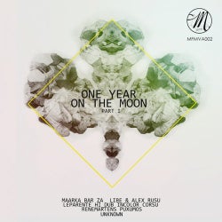 One Year On The Moon