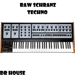 RAW TECHNO SCHRANZ