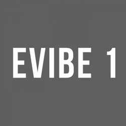 EVIBE 1
