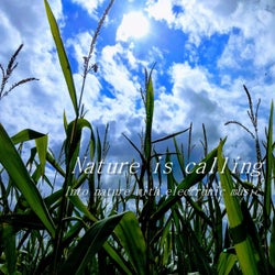 Nature Is Calling (Into nature with electronic music)