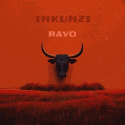 Inkunzi
