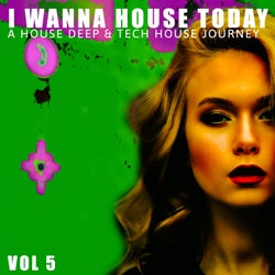 I Wanna House Today!, Vol. 5