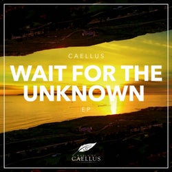 Wait For The Unknown