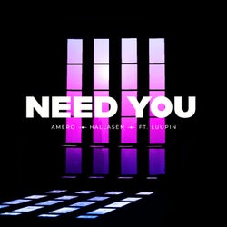 Need You (feat. Luupin) (Extended Mix)