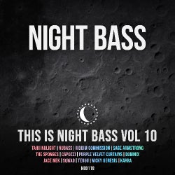 This Is Night Bass Vol 10 Takeover