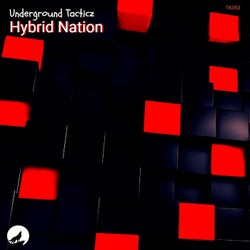 Hybrid Nation