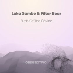 Birds of the Ravine